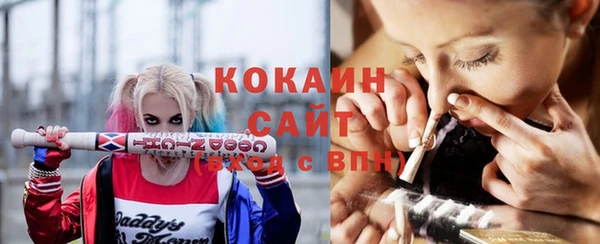 прущая мука Пересвет