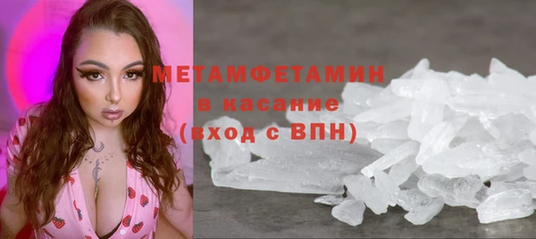 прущие грибы Беломорск
