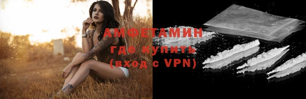 прущие грибы Беломорск