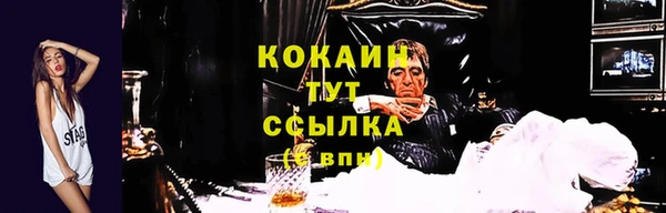 прущие крисы Белокуриха