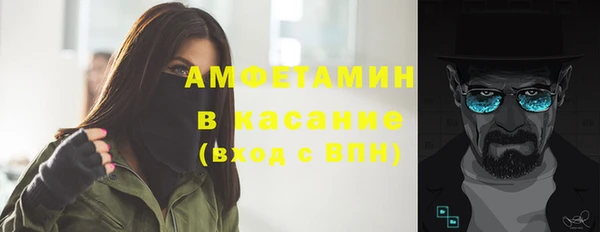 прущие грибы Беломорск