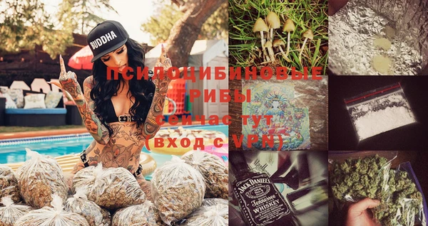 прущие крисы Белокуриха