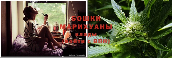 прущие грибы Беломорск