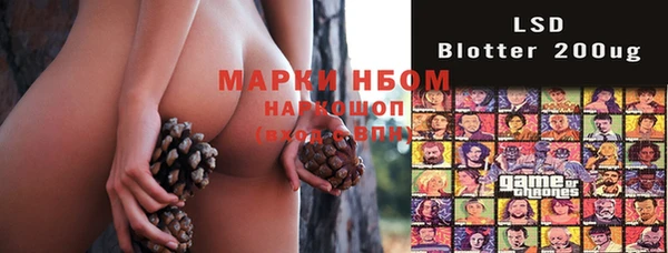 прущие грибы Беломорск