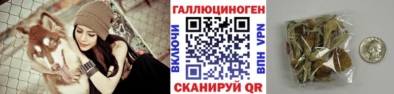 где найти наркотики  Торопец  Псилоцибиновые грибы MAGIC MUSHROOMS 